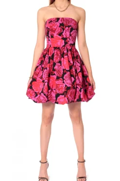 Kobieta AGGI Sukienki>Sukienka Ashley Roses